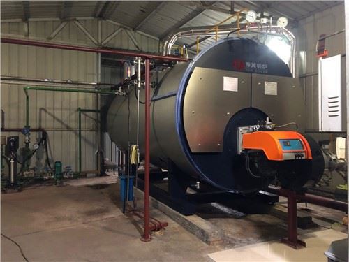 WNS gaz dyezèl te tire 6000 Kg chodyè vapè nan Lachin