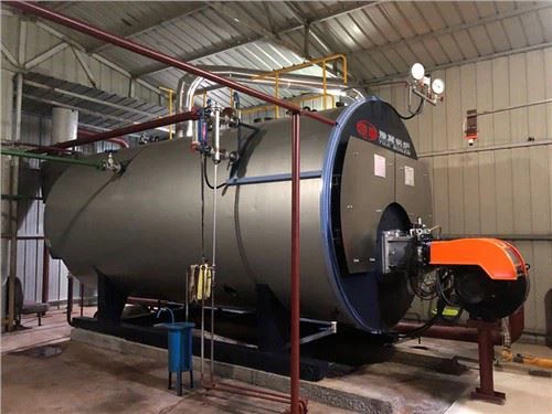 WNS Endistriyèl Sèvi ak gaz natirèl lp te tire chofaj vapè