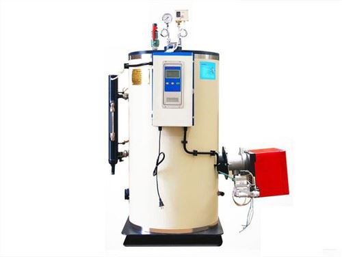 0.5T dèlko vapè ki mache ak gaz pou Spa